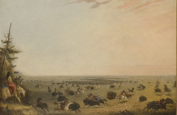 The Buffalo Hunt (La cacería de búfalos)