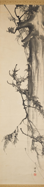Old Cypress Trees (Cipreses viejos)