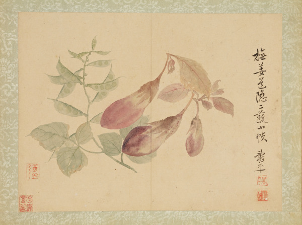Album of Flowers, Bamboo, Fruits and Vegetables (Álbum de flores, bambú, frutas y verduras)